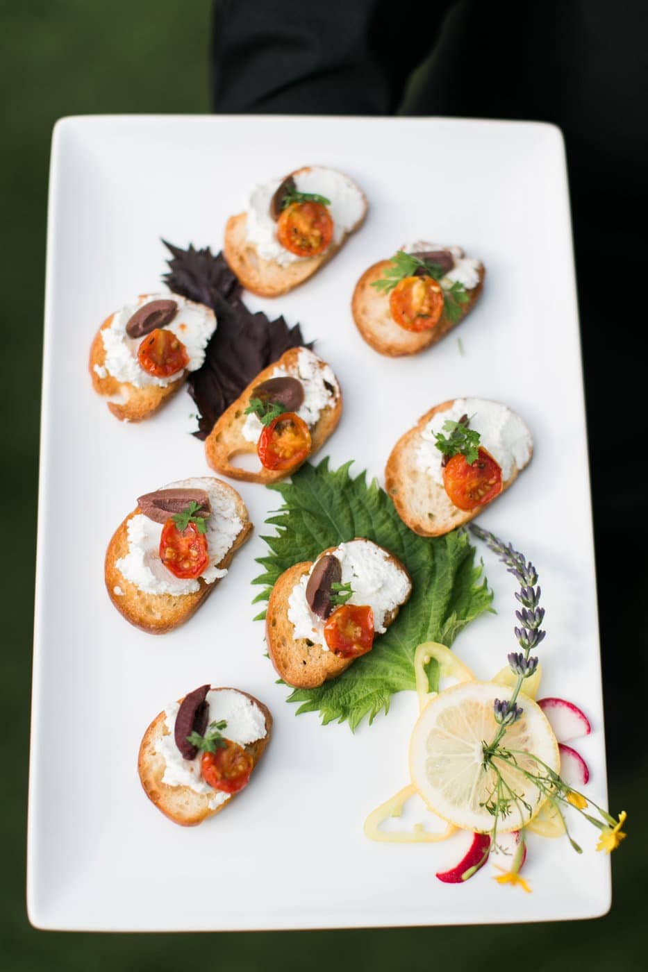 A rectangular white plate holding six pieces of crostini topped with ricotta, cherry tomatoes, olives, and herbs, garnished with green leaves, lemon slices, and edible flowers—perfect for elegant wedding catering Seattle events.