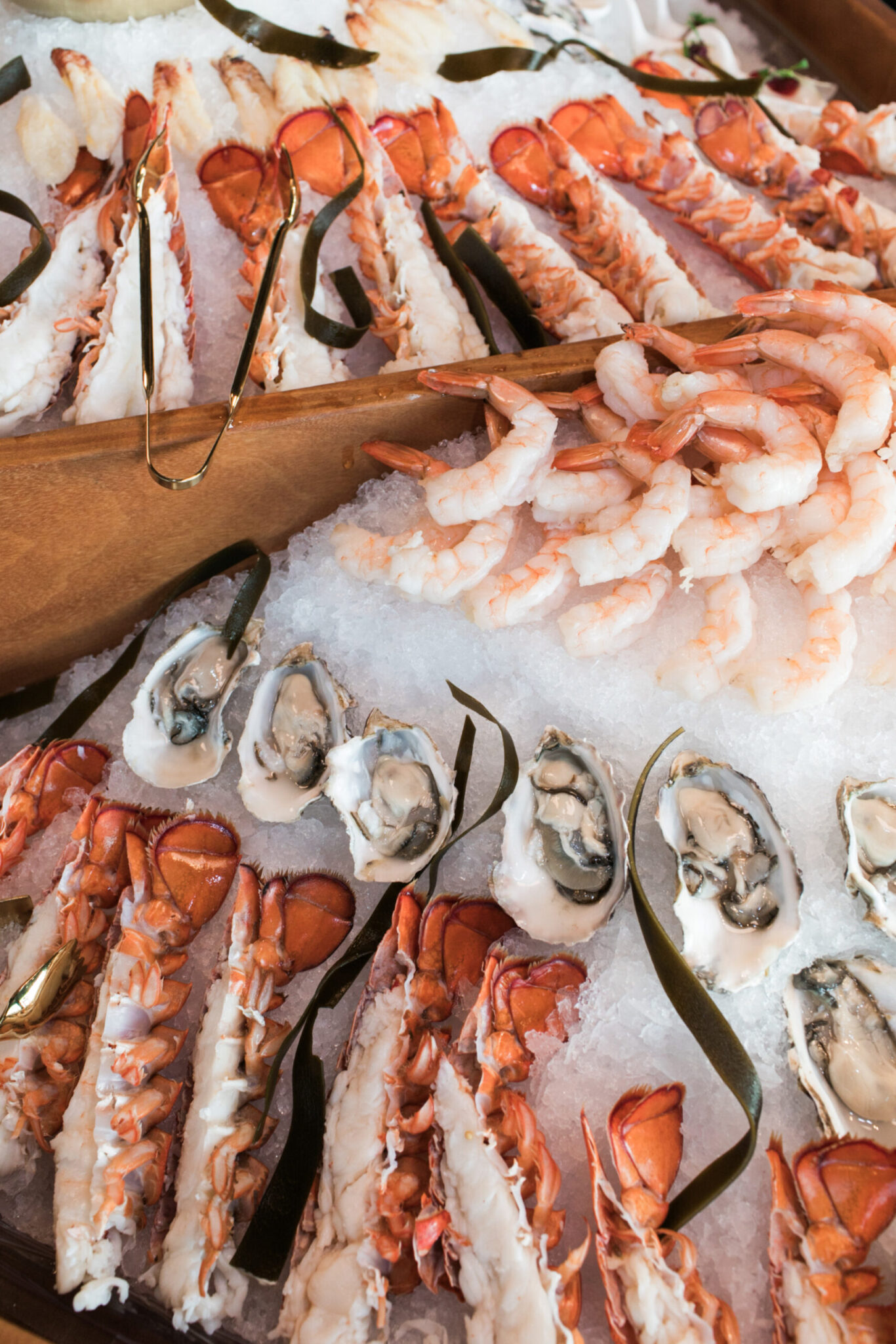 Assorted seafood on ice, including lobster tails, oysters on the half shell, and shrimp, displayed with metal tongs and garnished with seaweed—perfect for catering for fundraisers.