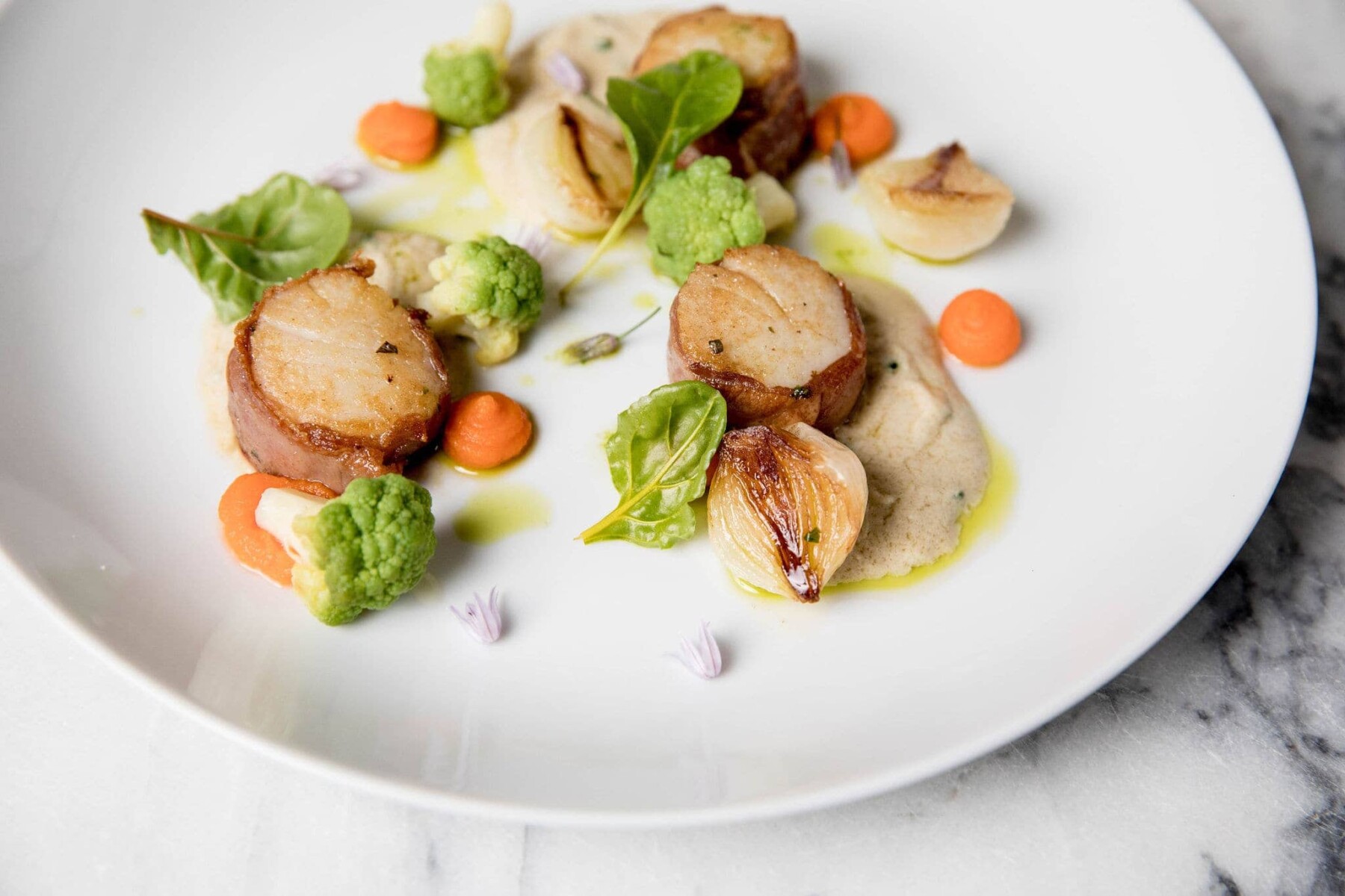 A white plate with seared scallops, roasted vegetables, green sauce, and decorative greens arranged artfully on a marble surface—perfect for catering for fundraisers seeking a touch of elegance.